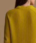 Close-up back view of a person wearing a ribbed knit sweater in a rich mustard yellow color, set against a solid warm beige background.