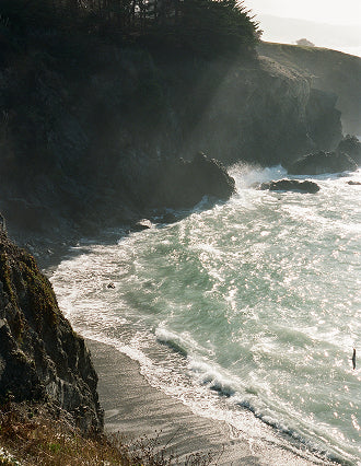 Behind the Campaign: Pacific Natural