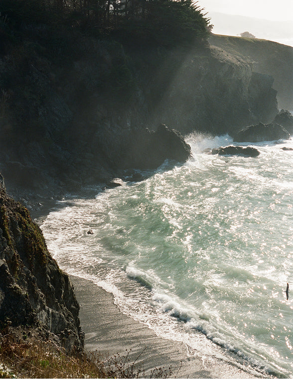 Behind the Campaign: Pacific Natural