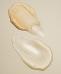 Two blobs of Youthful Skin Serum Duo—one warm beige, the other clear with an off-white hue—are spread on a neutral background, each expertly formulated to boost hydration and support skin renewal.