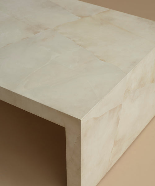 A close up of an ivory parchment coffee table with natural detailing against a beige background.
