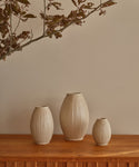 Three ribbed ceramic vases in a warm cream-beige tone, displayed on a wooden surface against a beige wall with dried branches hanging from the top.