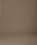 Thumbnail for video: Woman wearing a brown shirt and brown shorts, against a beige background.