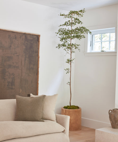 A tall, slender potted tree in a Ranch Planter stands beside a beige sofa with two cushions in a minimalist living room featuring white walls, a small window, and abstract wall art.