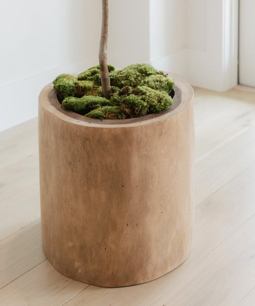 Bring natural charm to any space with the Ranch Planter—a rustic indoor planter featuring a stylish potted plant.