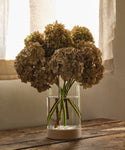 The Stowe Eco Glass Vase, made from clear recycled glass, holds a handful of dried hydrangeas on a rustic wooden table by a softly lit window with sheer curtains.