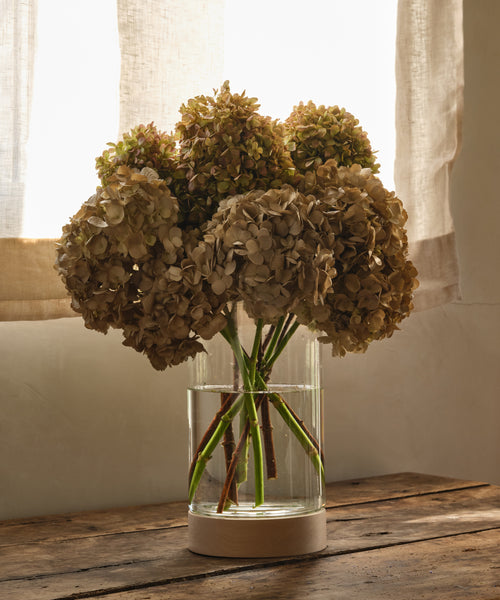 The Stowe Eco Glass Vase, made from clear recycled glass, holds a handful of dried hydrangeas on a rustic wooden table by a softly lit window with sheer curtains.