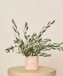 A minimalist arrangement of olive branches in the Small Leather Rivet Vase sits on a round wooden table, the handmade piece’s light pink cylindrical form set against a plain beige background.