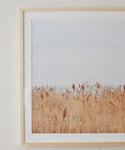 ‘Motion,’ a Daniella Dolenc photograph featuring tall golden-brown grass beneath a pale, cloudy sky, hangs in an elegant European pine frame on a light wall, bringing a peaceful and minimalist touch to the space.
